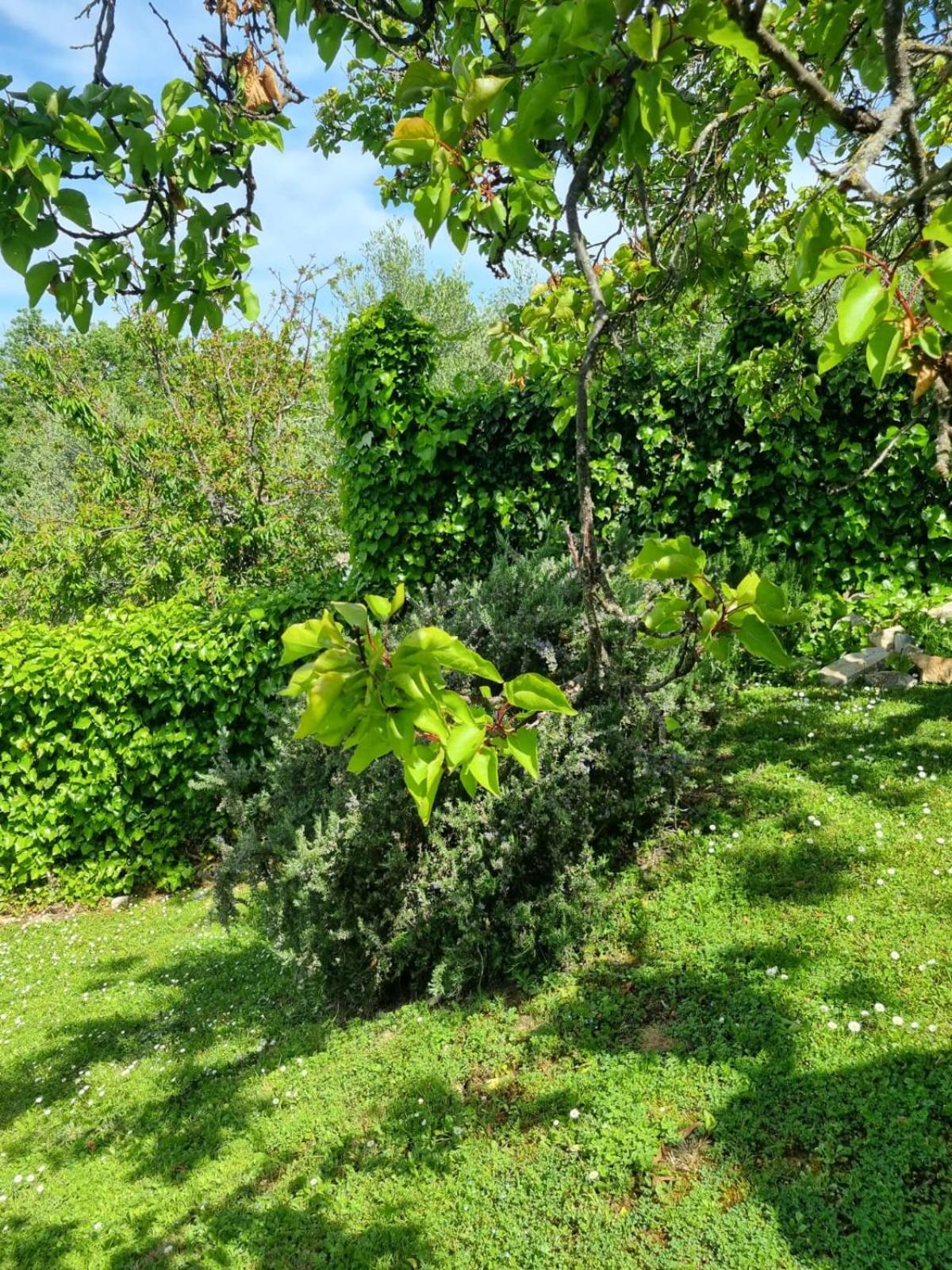 Dimora Nel Chianti Vendégház San Sano Kültér fotó