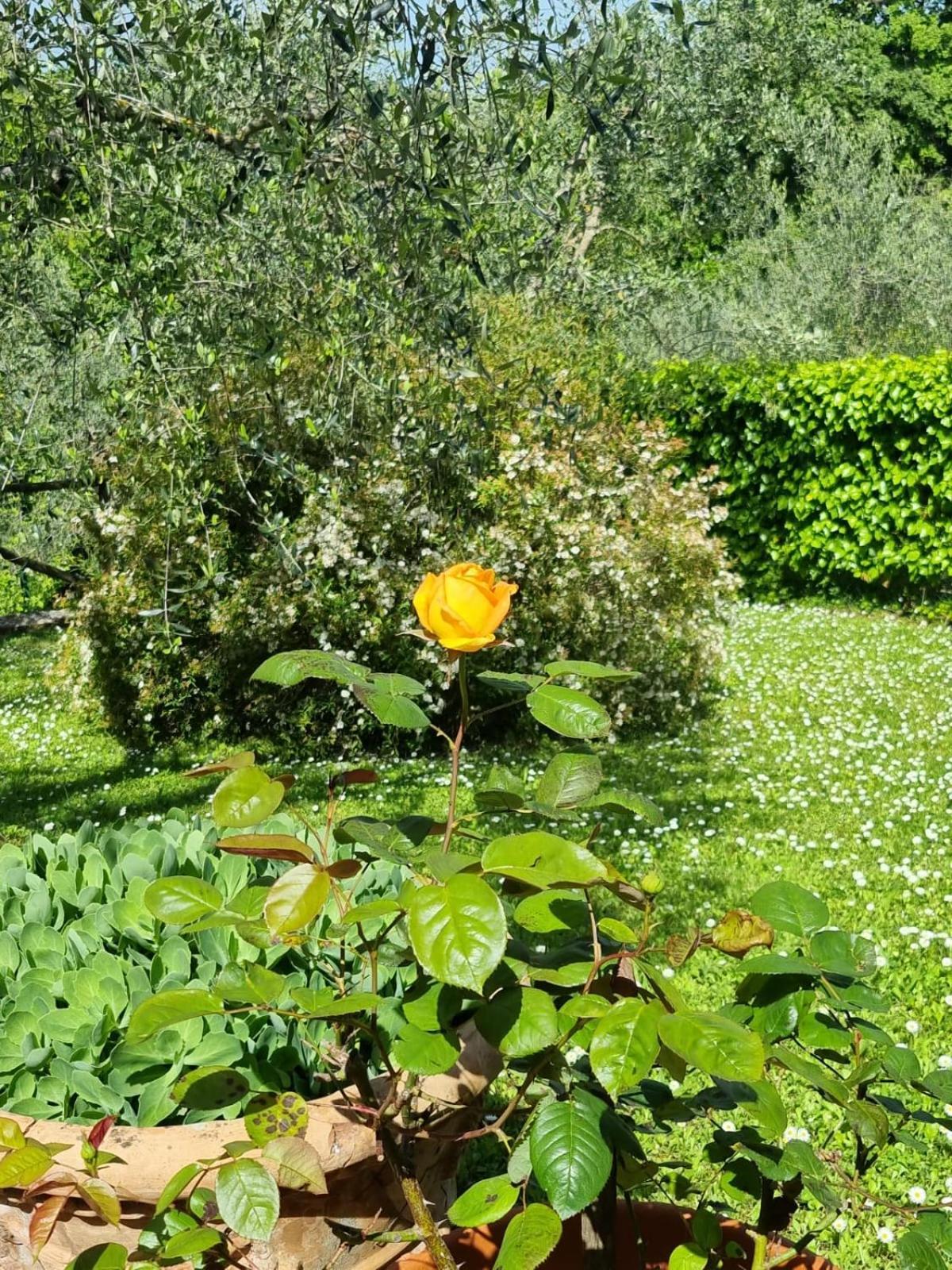 Dimora Nel Chianti Vendégház San Sano Kültér fotó