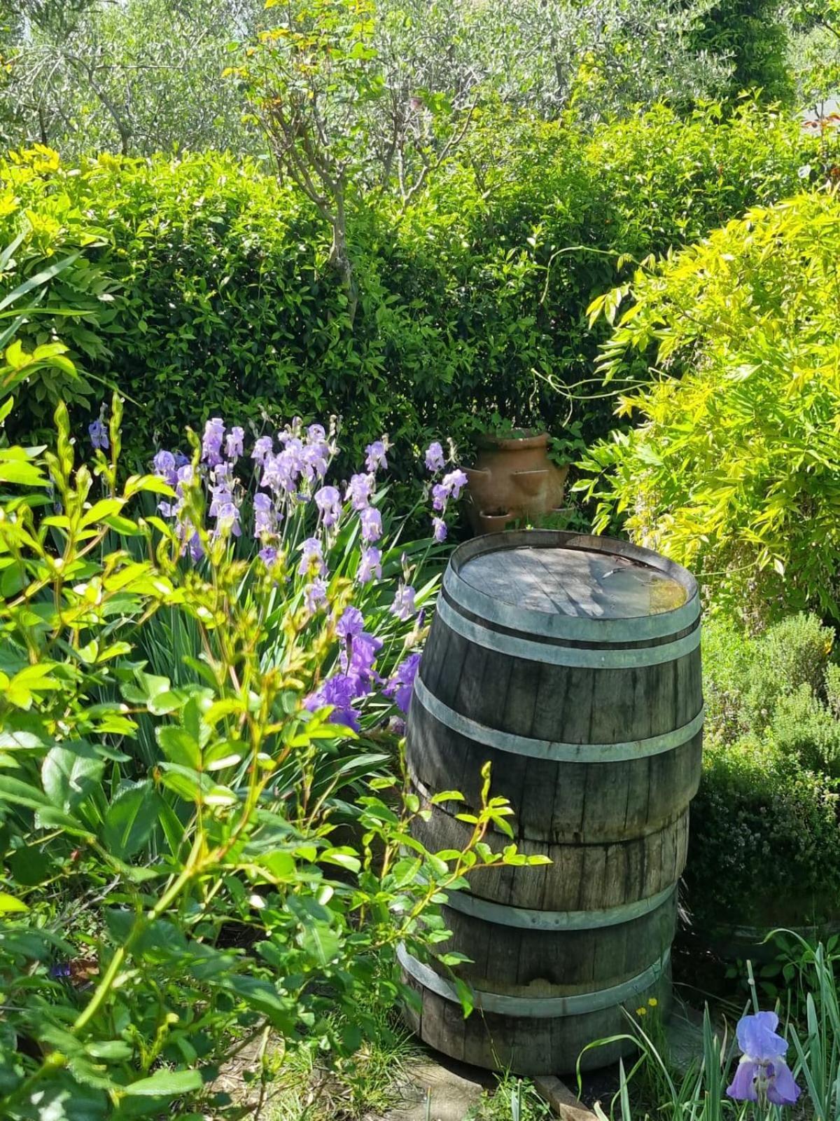 Dimora Nel Chianti Vendégház San Sano Kültér fotó