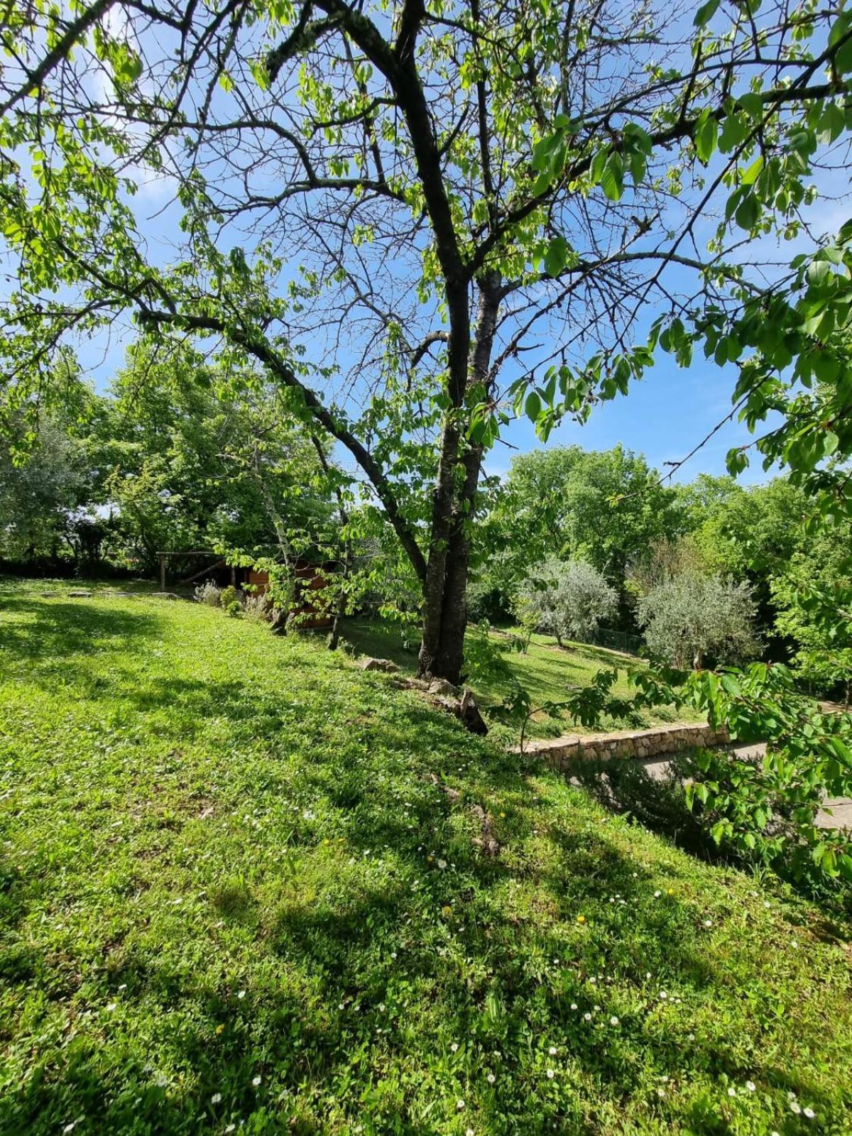 Dimora Nel Chianti Vendégház San Sano Kültér fotó
