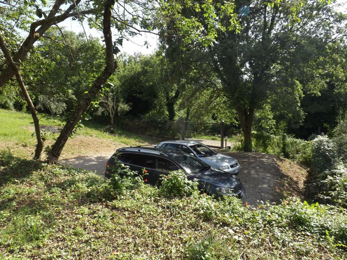 Dimora Nel Chianti Vendégház San Sano Kültér fotó